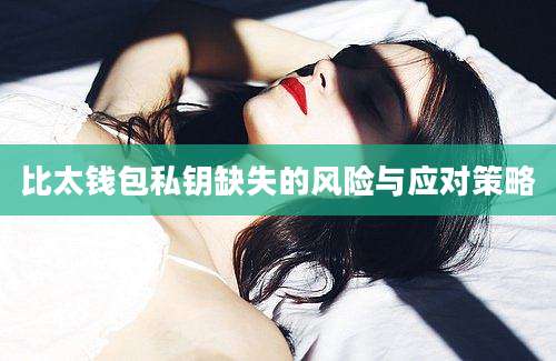 比太钱包私钥缺失的风险与应对策略