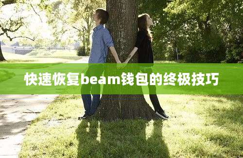 快速恢复beam钱包的终极技巧