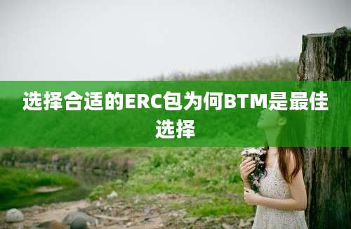 选择合适的ERC包为何BTM是最佳选择