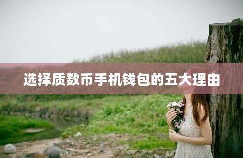 选择质数币手机钱包的五大理由