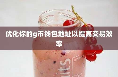 优化你的g币钱包地址以提高交易效率