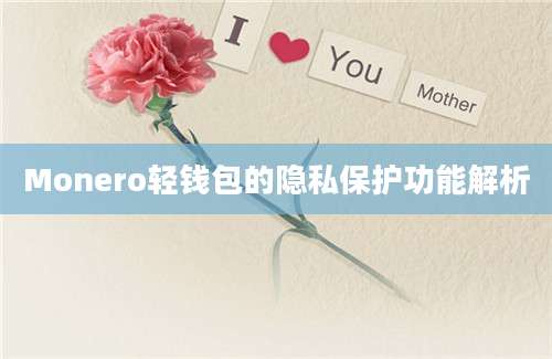 Monero轻钱包的隐私保护功能解析