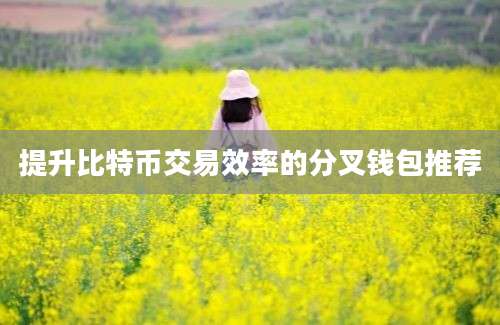 提升比特币交易效率的分叉钱包推荐