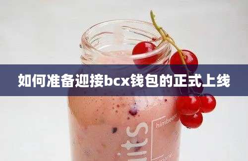 如何准备迎接bcx钱包的正式上线