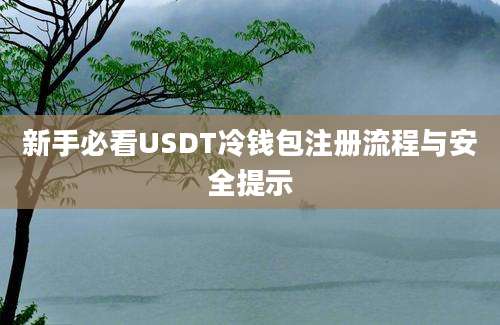 新手必看USDT冷钱包注册流程与安全提示