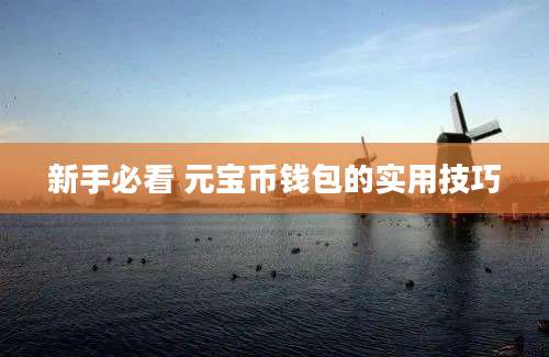 新手必看 元宝币钱包的实用技巧