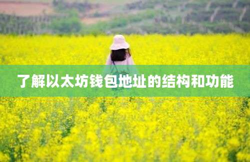 了解以太坊钱包地址的结构和功能