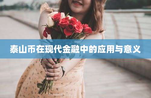 泰山币在现代金融中的应用与意义