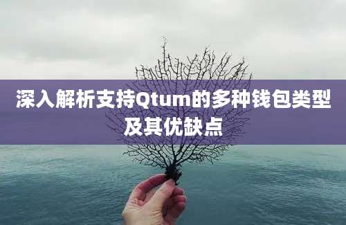 深入解析支持Qtum的多种钱包类型及其优缺点