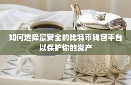 如何选择最安全的比特币钱包平台以保护你的资产