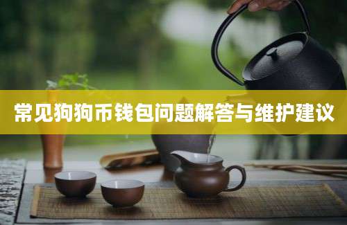 常见狗狗币钱包问题解答与维护建议
