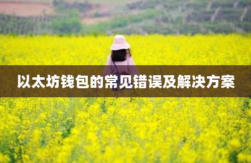 以太坊钱包的常见错误及解决方案