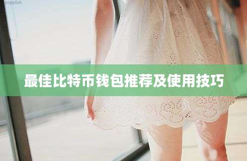 最佳比特币钱包推荐及使用技巧