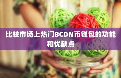 比较市场上热门BCDN币钱包的功能和优缺点