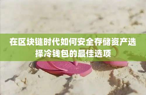 在区块链时代如何安全存储资产选择冷钱包的最佳选项