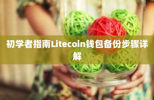 初学者指南Litecoin钱包备份步骤详解