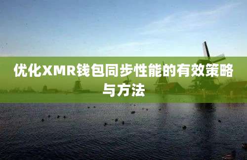 优化XMR钱包同步性能的有效策略与方法