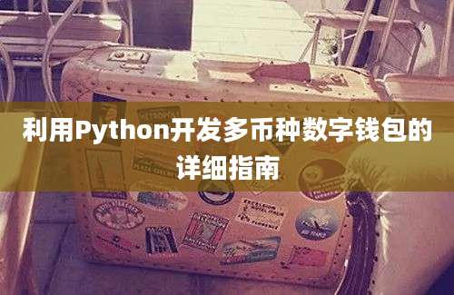 利用Python开发多币种数字钱包的详细指南