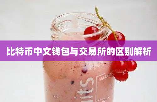 比特币中文钱包与交易所的区别解析