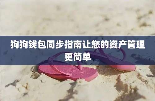 狗狗钱包同步指南让您的资产管理更简单