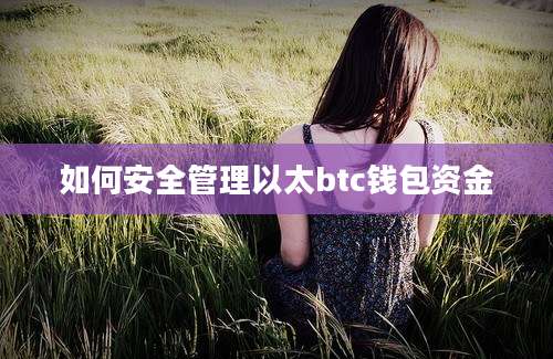 如何安全管理以太btc钱包资金
