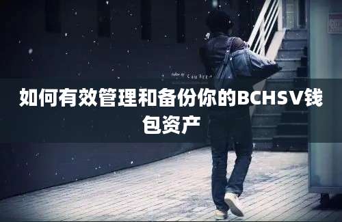 如何有效管理和备份你的BCHSV钱包资产