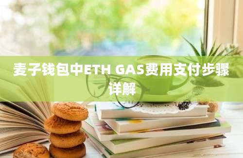 麦子钱包中ETH GAS费用支付步骤详解