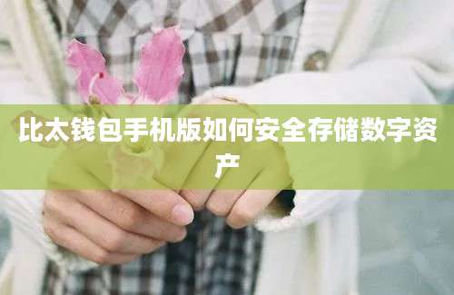 比太钱包手机版如何安全存储数字资产