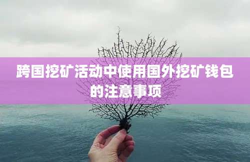 跨国挖矿活动中使用国外挖矿钱包的注意事项