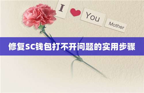 修复SC钱包打不开问题的实用步骤