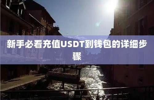 新手必看充值USDT到钱包的详细步骤