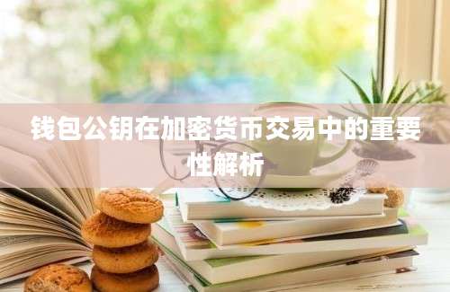 钱包公钥在加密货币交易中的重要性解析