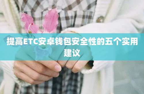 提高ETC安卓钱包安全性的五个实用建议