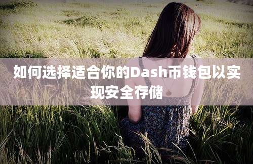 如何选择适合你的Dash币钱包以实现安全存储