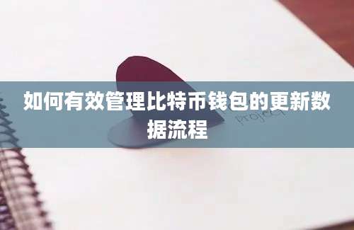 如何有效管理比特币钱包的更新数据流程