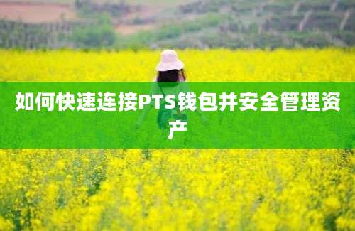 如何快速连接PTS钱包并安全管理资产