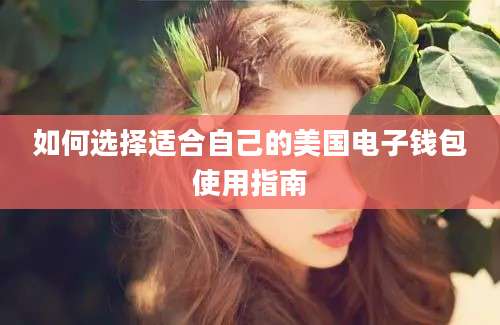 如何选择适合自己的美国电子钱包使用指南