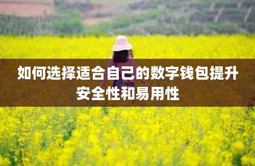 如何选择适合自己的数字钱包提升安全性和易用性