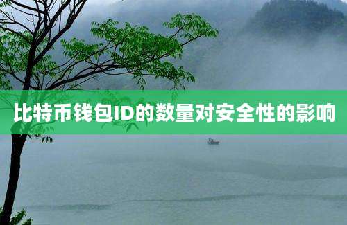 比特币钱包ID的数量对安全性的影响