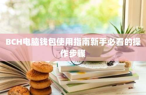 BCH电脑钱包使用指南新手必看的操作步骤