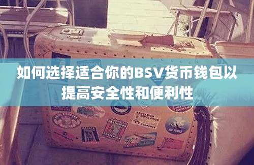 如何选择适合你的BSV货币钱包以提高安全性和便利性