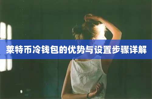 莱特币冷钱包的优势与设置步骤详解