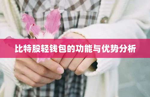 比特股轻钱包的功能与优势分析