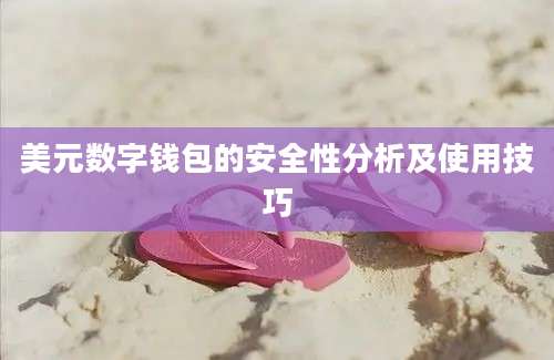 美元数字钱包的安全性分析及使用技巧