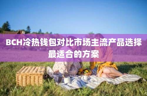 BCH冷热钱包对比市场主流产品选择最适合的方案