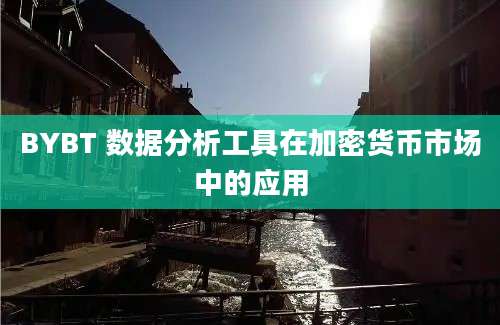 BYBT 数据分析工具在加密货币市场中的应用