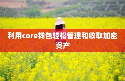利用core钱包轻松管理和收取加密资产