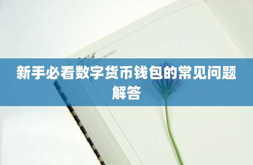 新手必看数字货币钱包的常见问题解答