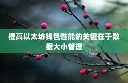 提高以太坊钱包性能的关键在于数据大小管理