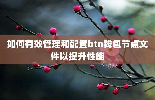 如何有效管理和配置btn钱包节点文件以提升性能